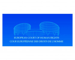 Виртуелна посета Европском суду за људска права 